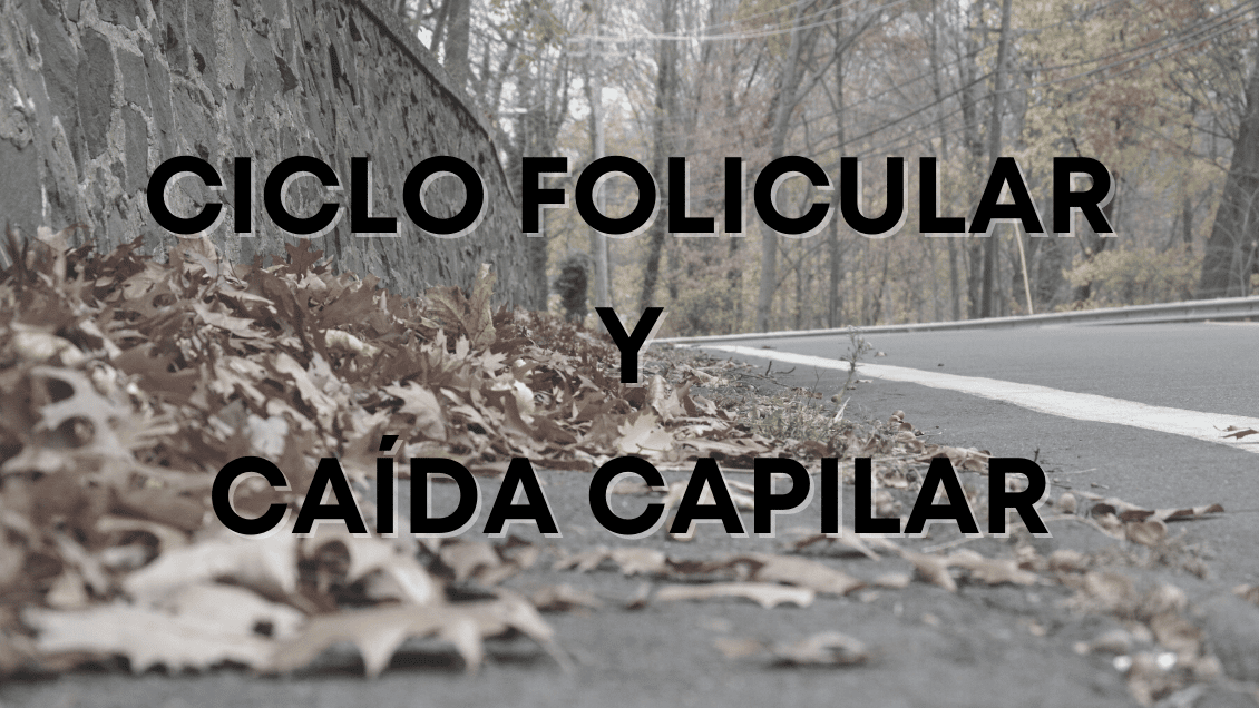 Ciclo folicular y caída capilar